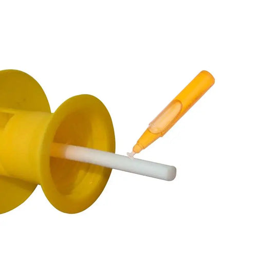 Lot de 10 appâts attractifs pour mouches des fruits