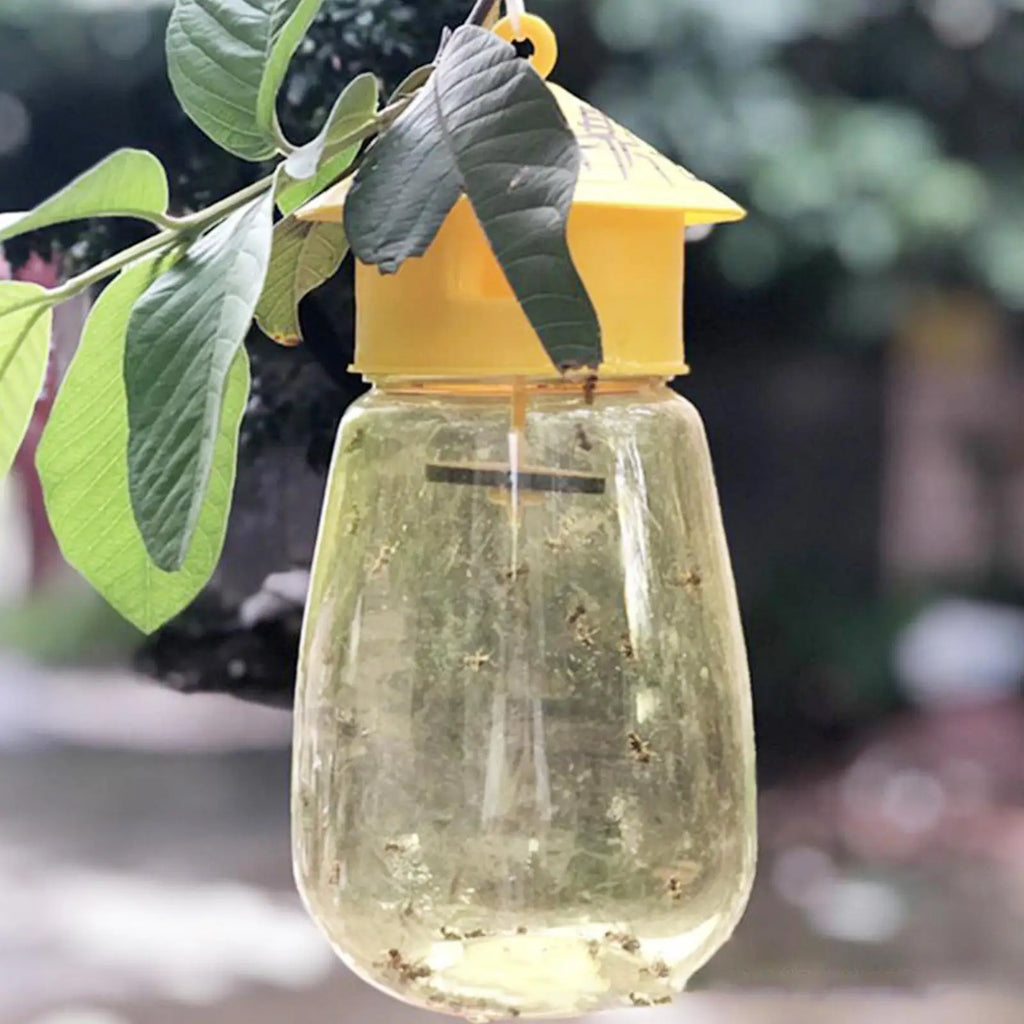 Piège à Mouches des Fruits en Plastique – Solution Naturelle et Efficace